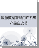 國脈數據智能門戶系統產品白皮書