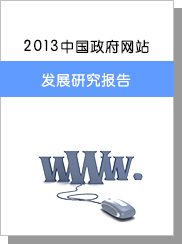 2013年中國政府網站發展研究報告